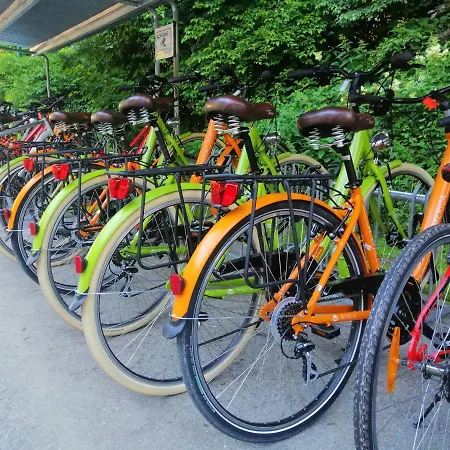 دورميو أوبيرترون *