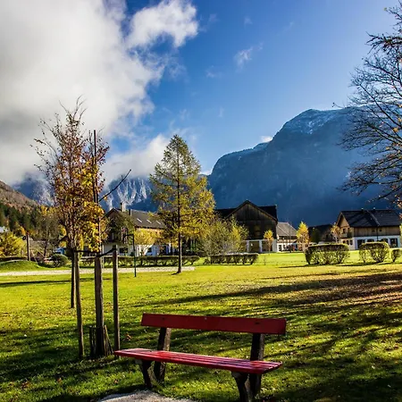 دورميو أوبيرترون *